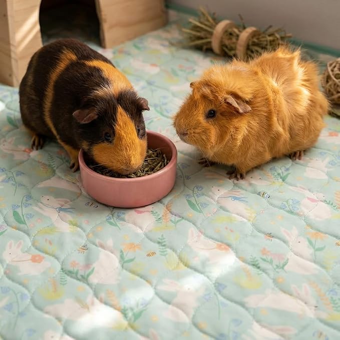 Guinea Pig Cage Liner, 59"x31" Bedding for C&C 2x4 Cage 2 Pack, Green | Washable Fleece Bedding, Super Absorbent, Non-Slip, Waterproof Rabbit Mat, Machine Washable, Small Animal Cage Accessory