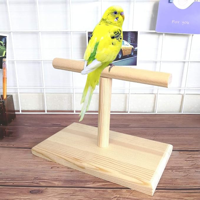 LINSHRY Bird Training Stand, Portable Tabletop Bird Perch Spin Training Perch for Parakeets Conures Lovebirds or Cockatiels