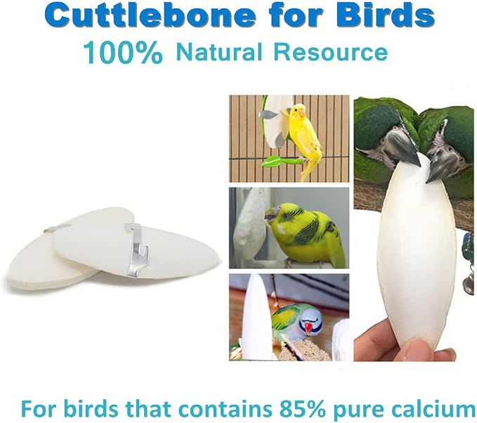 Bird Cuttlebone for Parakeets, Cuddle Bone, Birds Calcium, 3.5"-4", 12 Pcs | Cuttlefish Bone for Sharp Beaks, Natural Calcium for Parrots Cockatiels Budgie Tortoise