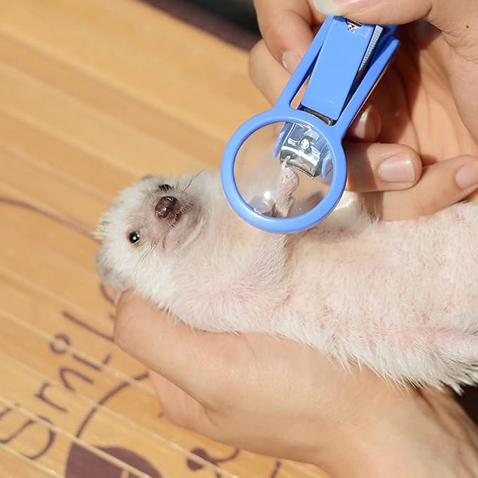 2 Pack Hamster Nail Clippers with Magnifying Glass Stainless Steel Claw Toenail Trimmer for Hedgehog Rabbit Guinea Pig Ferret Hamsters Chinchilla Pet Grooming Supplies (2 Pack (Blue+Green))