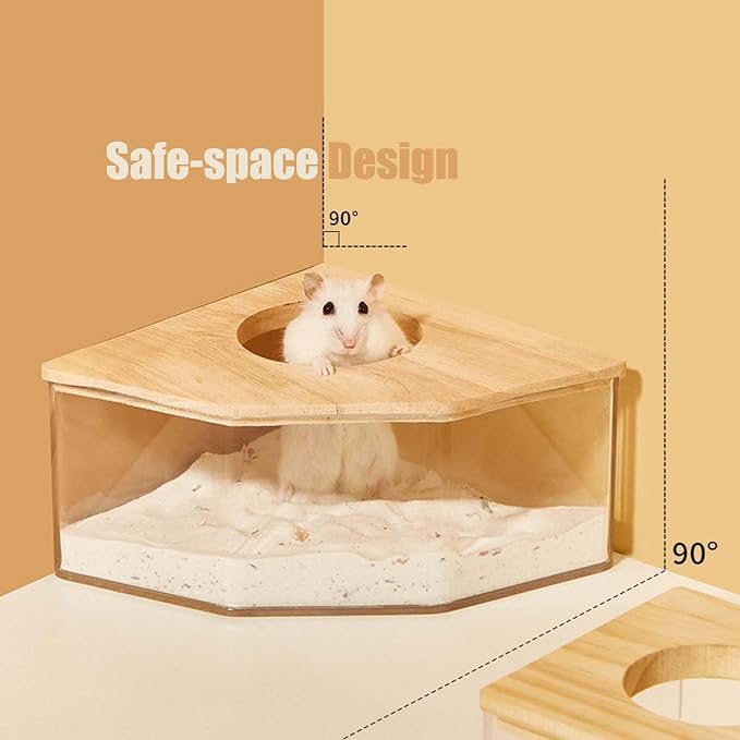 Transparent Hamster Sand Bath Box for Hamster Cage Accessories, Digging Sand Container with Climbing Ladder, Large Sandbox for Hamsters Dust Bath and Play Sand (M, Rectangle)