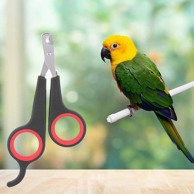 Tiiyee Cat Nail Clipper, Pet Nail Trimmers Bird Claw Scissors Stainless Steel Parrot Cage Essential Grooming Tool for Small Animals Ferrets Bunny Kitten Hamsters Rabbit Puppy Precision Sharp Cut