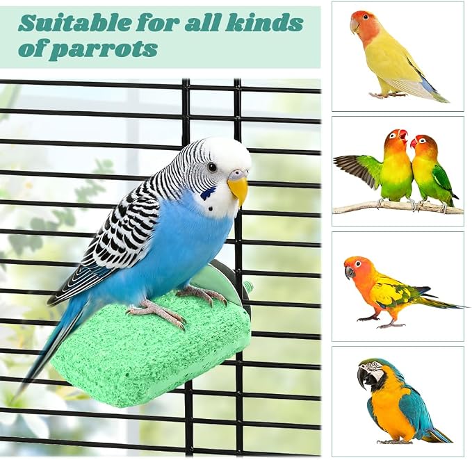 4 PCS Bird Beak Grinding Stone Perch Platform for Parrots | Grinding Stone Perch Set Helps Support Natural Beak And Claw Wear For Budgies, Parakeets, Cockatiels, And Conures.