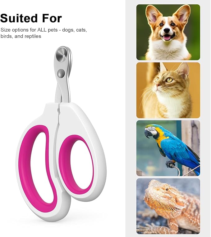 Cat Nail Clippers, Cat Claw Trimmers, Suitable for Small Animals | Nail Trimmers for Cat, Bird, Hamster, Rabbit, Chinchilla, Guinea pig