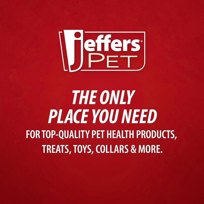 Jeffers Pet All Purpose Coconut Oil Conditioning Dog & Cat Shampoo, 128 oz – Deodorizing Grooming Wash, Coconut Based Soap Free Formula, Aloe Vera & Vitamin E, Concentrated pH Balanced Coat Cleanser