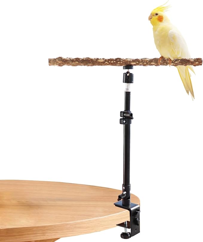 16-24 Inch Height Adjustable Bird Perch Stand, Natural Pepper Wood, Black, Bird Training Perch Stand, Indoor and Outdoor, for Small to Medium Birds