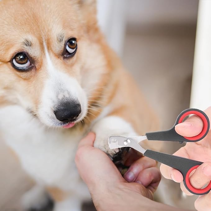 Tiiyee Cat Nail Clipper, Pet Nail Trimmers Bird Claw Scissors Stainless Steel Parrot Cage Essential Grooming Tool for Small Animals Ferrets Bunny Kitten Hamsters Rabbit Puppy Precision Sharp Cut