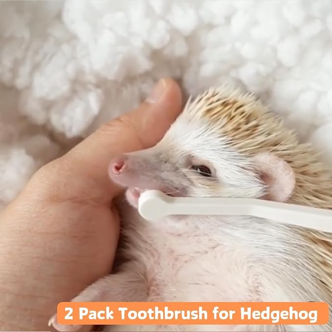Mini Pet Toothbrush Mini Head Soft Bristles Gentle Pet Toothbrush for Small Pets Dental Care Hedgehog Rat Ferret Grooming Accessories (6PC)