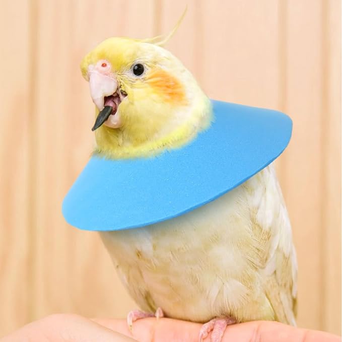 3 Pcs Adjustable Recovery Bird Cone Collar,Hamster Elizabeth Collar Protective Cones for Sugar Glider Hamster Ferret Squrrel_XL