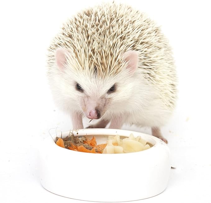 Hedgehog Treat Variety Pack - Healthy Natural Treat Sampler - Mealworms, Black Soldier Fly Larvae, Crickets, Apples, Carrots - Value Package