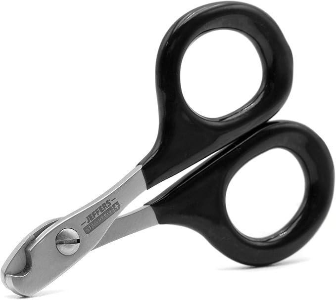 Jeffers Stainless Steel Cat Claw Clippers Scissors - Small Pet Nail Trimmer with Sharp Precision Blades, PVC Non Slip Ergonomic Handle, Compact Home Grooming Cutter for Cats, Kittens, Birds