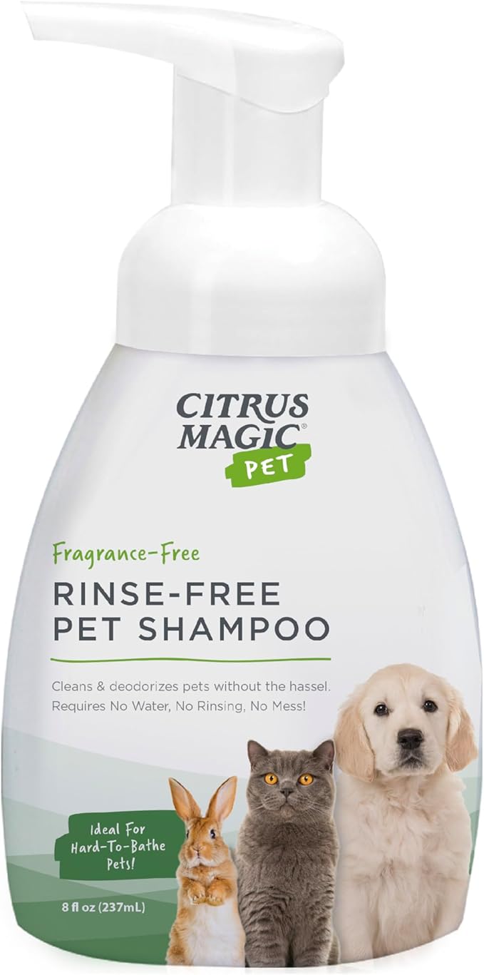 Citrus Magic Pet Rinse-Free Pet Shampoo, 8 Fluid Ounce | Conditions & Deodorizes Coats, Ideal for Dogs, Cats, Ferrets, Hamsters, Rabbits, Kittens