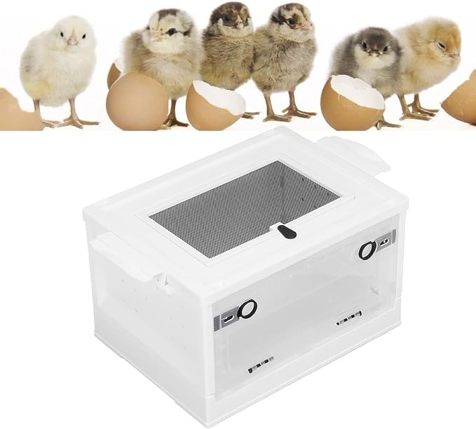 Pet Box ABS Material Small Pet Terrarium Hinged Front Opening Door Large Mesh Cover Top Hedgehog Holder (White)