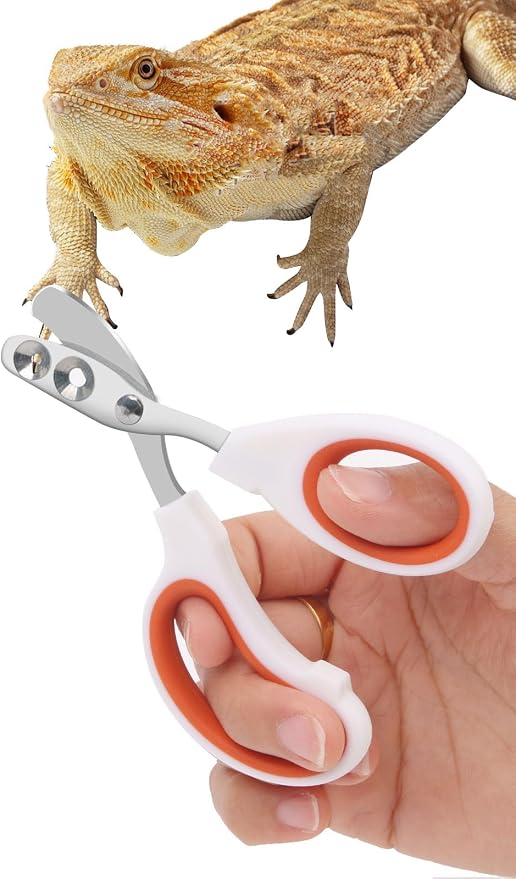 Stainless Steel Bearded Dragon Nail Clippers,Lizard Nail Clippers,Bearded Dragon Supplies,Bearded Dragon Nail Scissors for Small Reptiles,Turtle,Chameleon,Iguana，Hedgehog（Orange）
