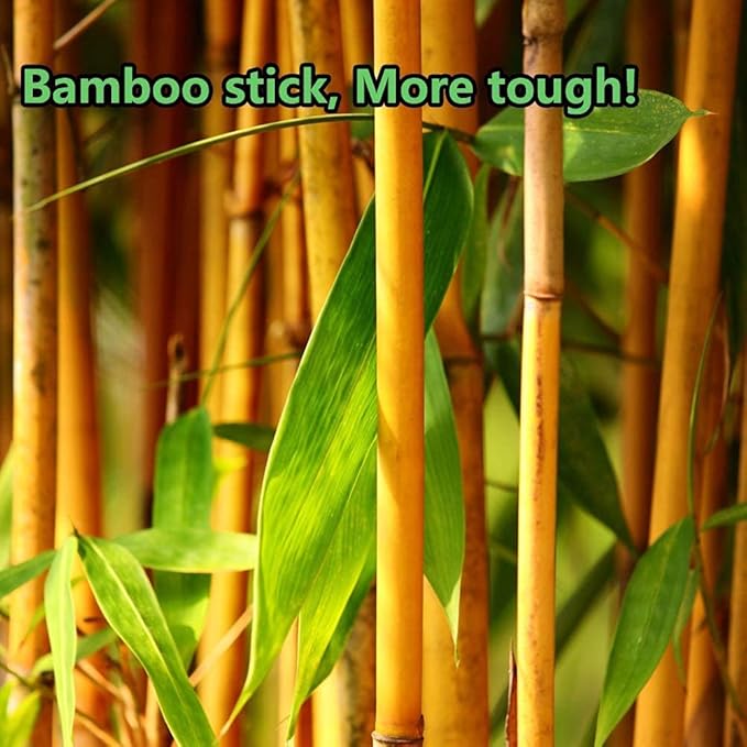 3600pcs Precision Tip Cotton Swabs for Makeup, Bamboo Sticks and Double Pointed