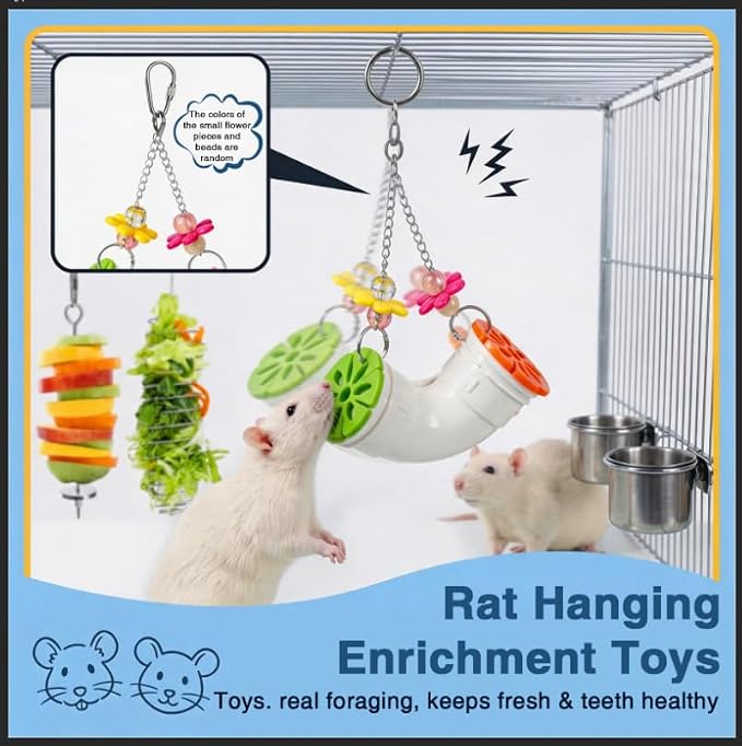 5PCS Rat Enrichment Toys, 304 Stainless Steel Pet Rats Accessories for Various Treats Slow Feeder, Hanging Rodent Rat Stuff Foraging Toy
