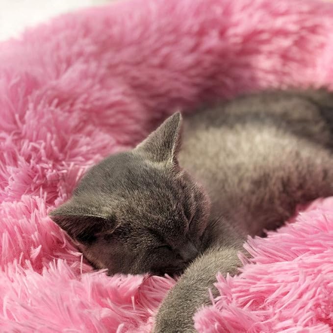 Cat Bed for Indoor Cats,Mini Plush Self Warming Kitten Bed, 20 Inch | Soft Round Fluffy Dog Bed and Cat Nest for Kittens and Small Dogs, Cozy Medium Bed for Indoor and Warm Autumn or Winter Sleep