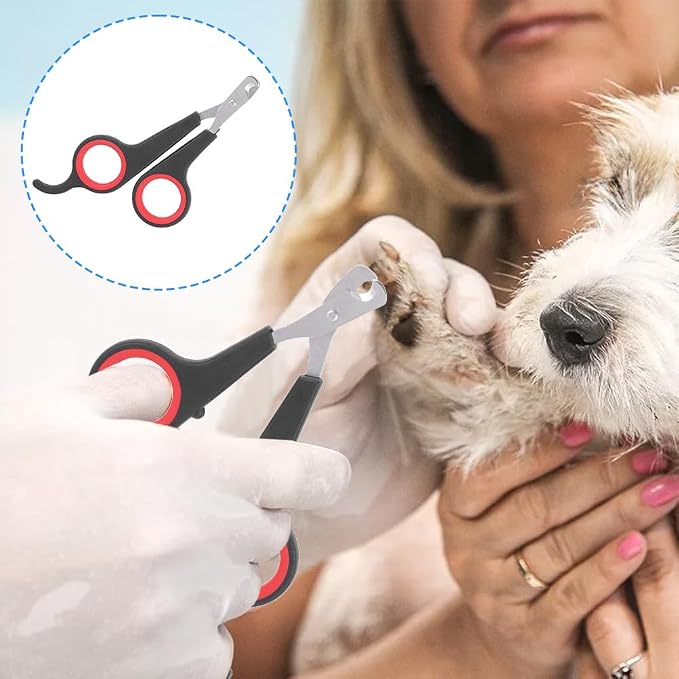 Tiiyee Cat Nail Clipper, Pet Nail Trimmers Bird Claw Scissors Stainless Steel Parrot Cage Essential Grooming Tool for Small Animals Ferrets Bunny Kitten Hamsters Rabbit Puppy Precision Sharp Cut