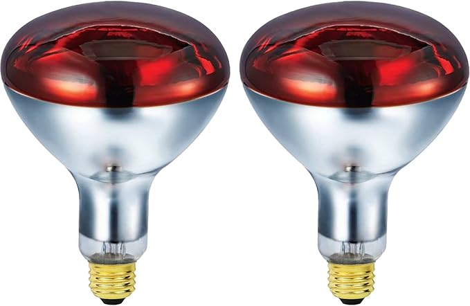 250 Watts R40 Red Heat Lamps Outdoor Bulbs for Pets Flood Light Bulb for Chickens Infrared Reflector 250W R40 Incandescent Medium E26 Base 2 Pack