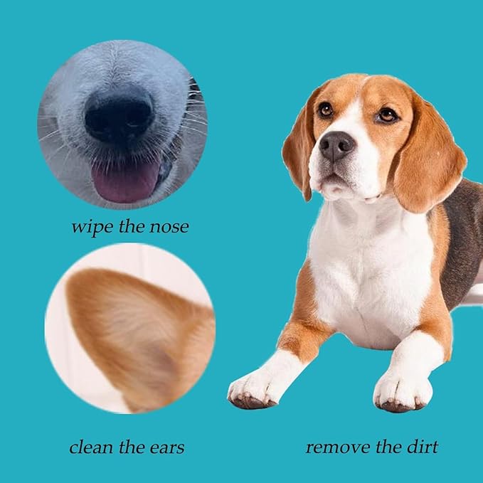 6 Inch Long Cotton Swabs (Large Size) 200pcs,Large Cotton Buds with Bamboo Handle for Pets, Gun Cleaning or Makeup