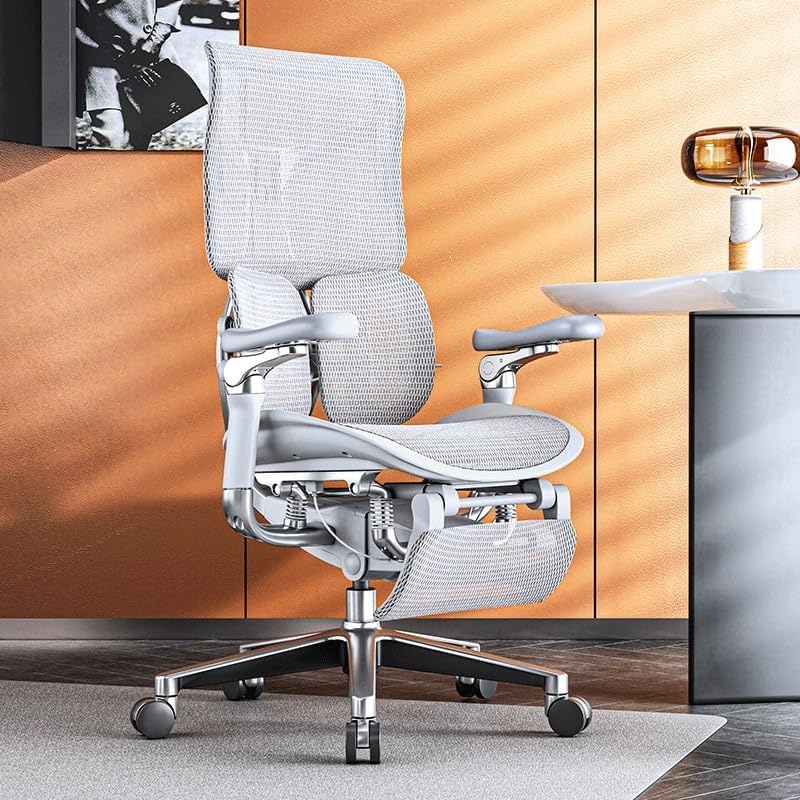 VIDI Ergonomic Chair Net, Executive Home Office, with Waist Support, Backrest
