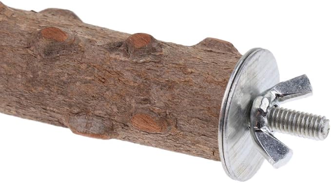 Hypeety Natural Prickly Ash Wood Perch Bird Paw Grinding Stand, 7.86''/20cm | Paw and beak grinding perch, bark texture for grip, chew-proof and durable, beak for budgie/parakeet/cockatiel/lovebird