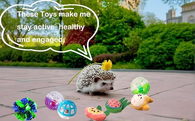 10 Pcs Hedgehog Pet Toys Small Animal Accessories for Hedgehogs Enrichment Toys Cage Ball Bell Toy Hedgehog Supplies Exercies Interactive Plush Toy