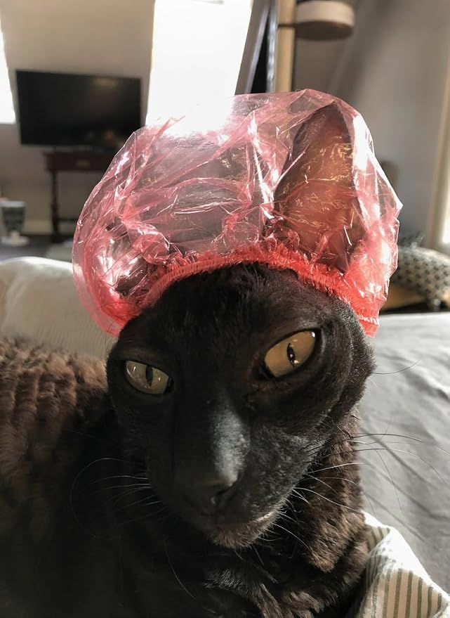 Shower Caps for Sphynx Cats & Small Pets, Red 20-Pack Poly Bag - Waterproof Bath Protection with Elastic Band, Keeps Ears Dry During Grooming