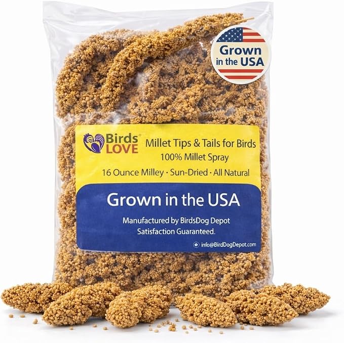 Birds LOVE® Millet Tips & Tails for Birds – Premium Spray Millet Treat, Grown in the USA – Natural & Healthy Bird Food for Parakeets, Cockatiels, Budgies, Lovebirds, Finches, Canaries & Parrots – 1 lb