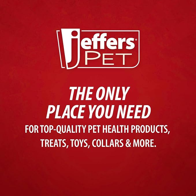 Jeffers Pet Apricot Kernel Exfoliating & Moisturizing Shampoo for Dogs & Cats, 128 oz - Concentrated Coconut Based Formula, Soap Free, Gentle Coat Cleansing, Vitamin Enriched Grooming Care, USA Made
