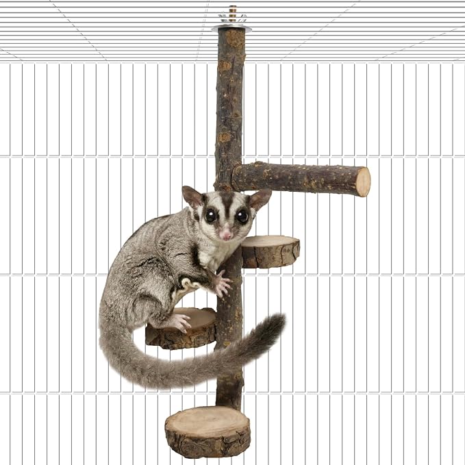 BNOSDM Sugar Glider Toy Natural Fruitwood Round Perch Stand Squirrel Hanging Wooden Climbing Pole Hamster Paw Grinding Perch Small Animal Cage Accessories for Chinchillas Rats Gerbil