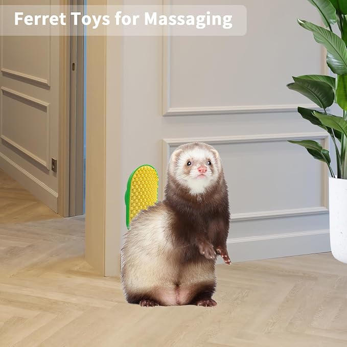 Ferret Toys, Hay Ball for Ferret Lick, Safe Ferret Chew Enrichment Toys Teeth Cleaning Dental, Edible Ferret Wall Treats Ball, Easy to Clean