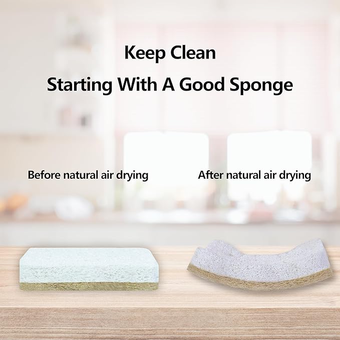 Kitchen Biodegradable Reusable Non Scratch Natural Cellulose Cleaning Sponge, Piece of 10