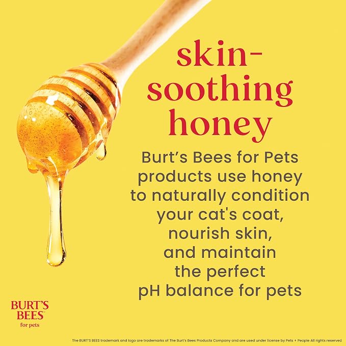 Burts Bees for Pets Kitten Grooming Wipes with Buttermilk, 50 Count, 6-Pack | Waterless bath wipes clean face, paws, tail, and coat, gentle alternative to bathing for indoor cats