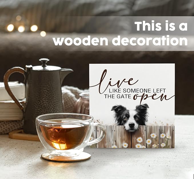 Border Collie Signs - Farm Cottagecore Animal Office Kitchen Bedroom Decor,Rustic Farmhouse Live like Someone Left the Gate Open Home Decor Wooden Signs,Border Collie Gifts for Women,8x8