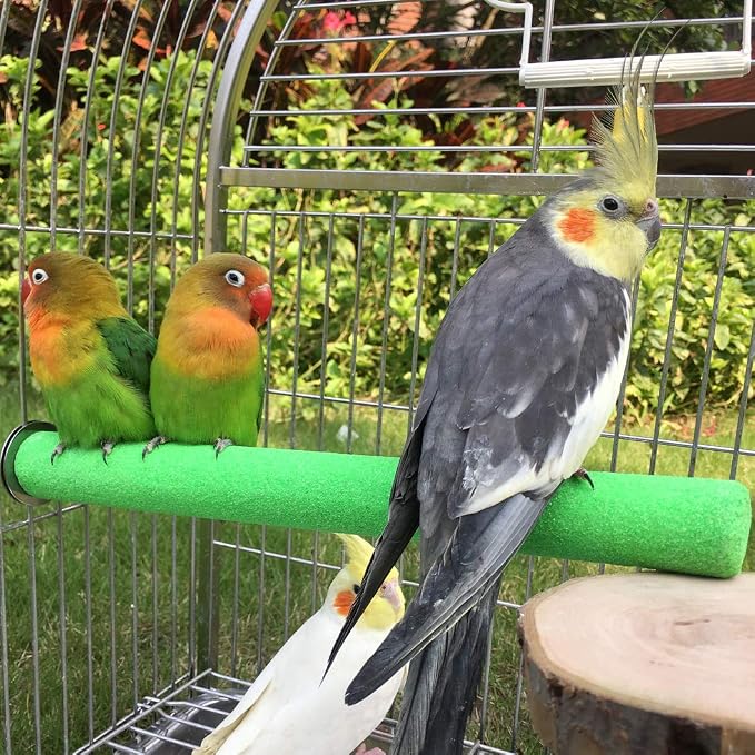 Bird Perch Rough-surfaced Nature Wood Stand Toy Branch for Parrots | Natural Quartz Sand Perch for Grinding Nails Trimming Macaw Congo African Gray Amazon Cockatoo Easy Install Cage Accessories