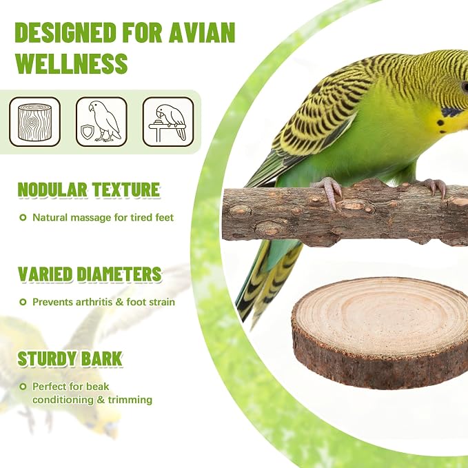6 Pcs Natural Wood Bird Perch & Platform Set for Cage | Grapevine branches, prickly ash sticks & apple wood platforms; textured surface for foot health; easy wing-nut setup.