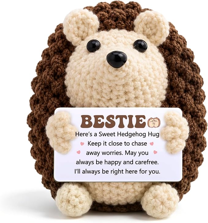 Mini Funny Hedgehog Best Friend Friendship Gifts for Women Men | Thank You Presents for Best Friend Sister Bestie,Cute Small Handmade Graduation Birthday Office Desk Decor