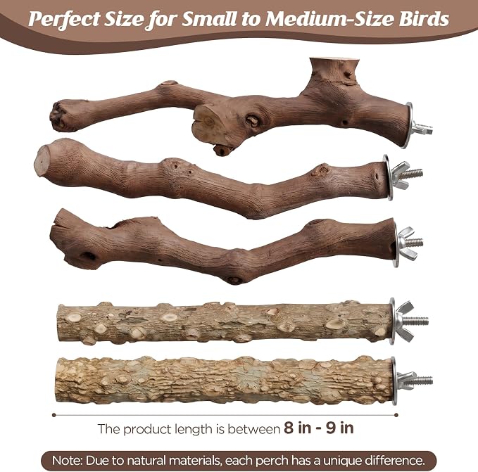 5PCS Bird Perch Stand Natural Wooden Parrot Stand Branch,3 Grape Wood Perch,2 Stand,Paw Grinding Fork Parakeet Chewing Stick Exercise Training Branches for Cockatiels,Small Medium Birds
