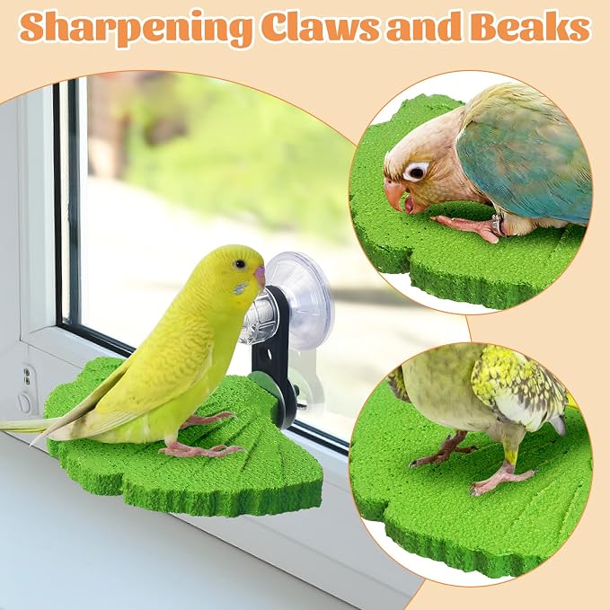 3PCS Bird Perch Bird Beak Grinding Stone with Suction Cups for Small Birds Foot Claws Trimmer Bird Stand Platform Parakeet Cage Perch Parrot Cage Accessories for Indoor Window Viewing (Green)