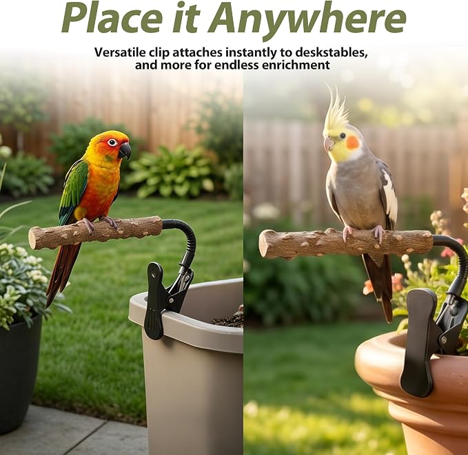 Bird Perch Stand with Clip, Adjustable Clip-On & Portable Parrot Stand, Natural Wood Bird Perch Training Stand for Cockatiels, Conures, Lovebirds and Medium & Small Parrots