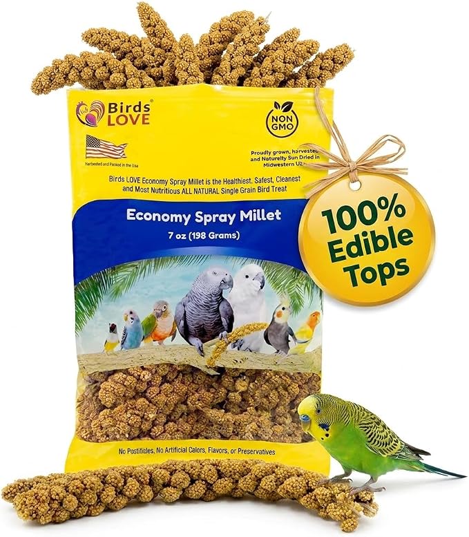 Birds LOVE Economy Spray Millet for Birds, 7 oz, GMO-Free Natural Millet Spray Treat, Stem-Reduced Edible Tops, Grown in USA, for Parakeets, Cockatiels, Lovebirds, Finches, Canaries & Small Parrots