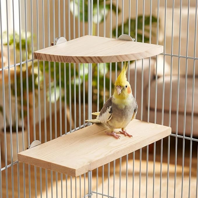 Bird Perch, 3 Pack Bird Playground Woodern Hamster Platform, Cage Accessories for Chinchilla, Parrot, Ferret, Rat, Budgie, Cockatie, Guinea Pig (2*Sector+ Rectangle)