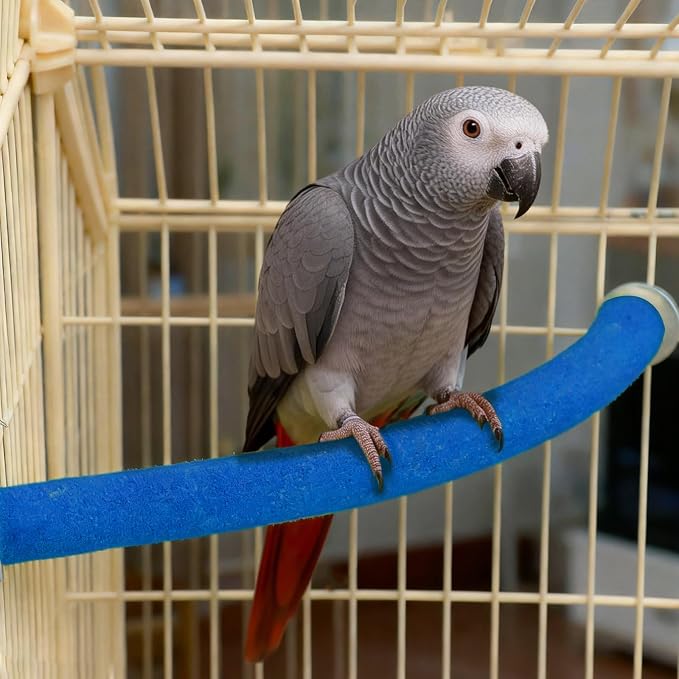 Rypet 90-Degree Parrot Perch for Cage Corner, Quartz Bird Perch (Blue XL) | For Paw Grinding Clean Stick Exercise, Rough Quartz Surface, Cage Accessorie, Small Parakeets Cockatiel Conures