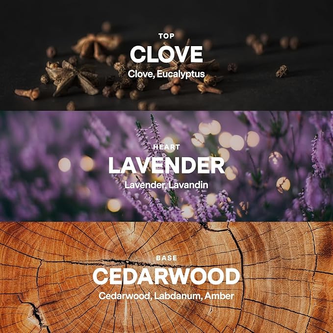 Siblings Essentials, Candle Refill Kit, DIY Candle Kit | No 04: Eucalyptus, Balsam, Wild Berries and No 05: Clove, Lavender, Cedarwood