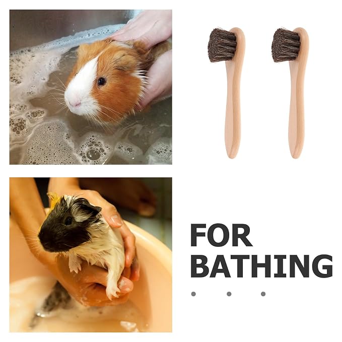 2Pcs Small Pet Grooming Brush with Soft Natural Bristle and Beech Wood Handle, 4-Inch Massaging Bath Brush for Hamsters, Guinea Pigs, Rabbits, and Ferrets