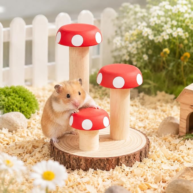 Hamster Climbing Toy Wooden for Chew, Enrichment Cage Accessory | Encourages climbing, exploring, and daily exercise for hamsters, gerbils, mice, rats, chinchillas, and guinea pigs