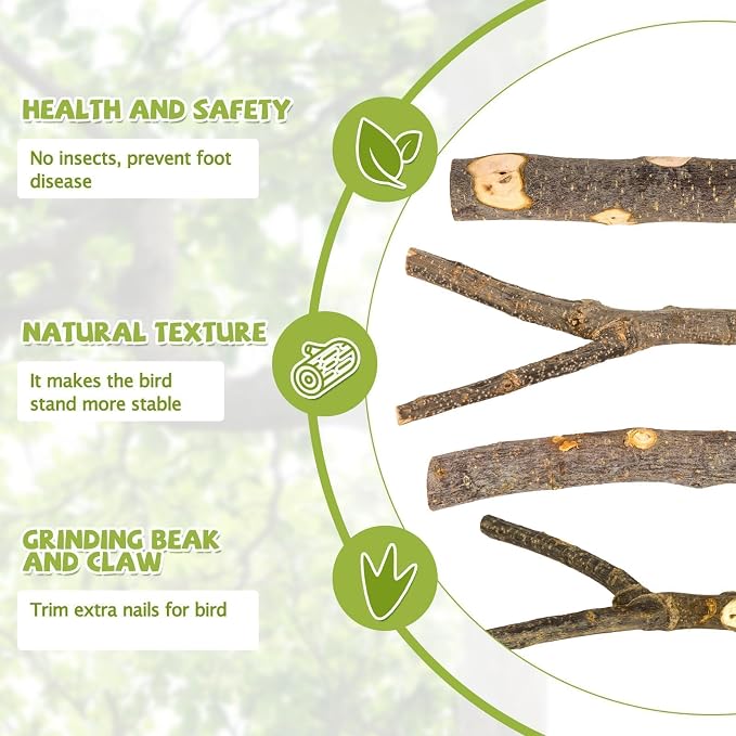 5 Pcs Natural Wood Bird Perch Stand Set for Bird Cages | Ideal for Small/Medium Birds (Budgies, Conures) | Bark Textures for Foot Health | Tool-Free Wing-Nut | Safe Chewing