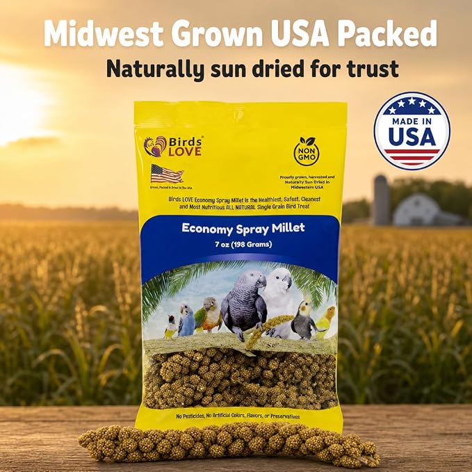 Birds LOVE Economy Spray Millet for Birds, 7 oz, GMO-Free Natural Millet Spray Treat, Stem-Reduced Edible Tops, Grown in USA, for Parakeets, Cockatiels, Lovebirds, Finches, Canaries & Small Parrots