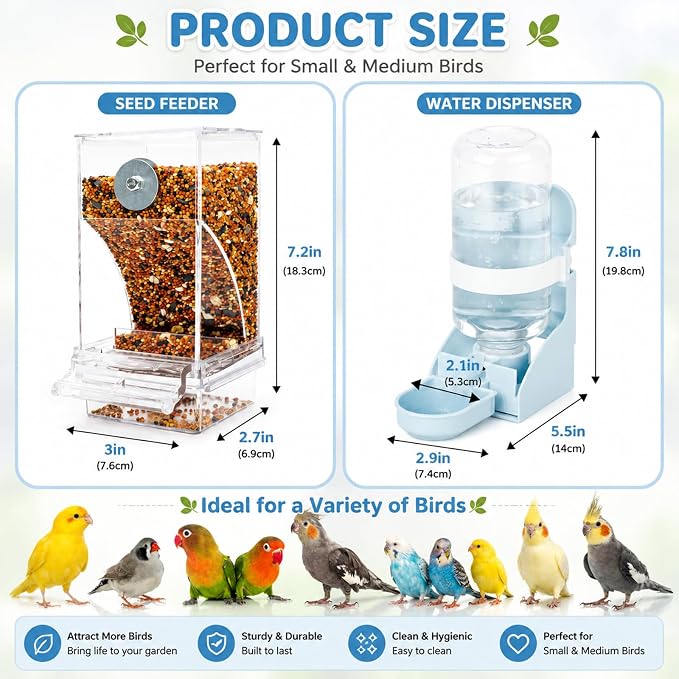 Rypet No-Mess Bird Feeder and Water Dispenser Set for Small Birds | Automatic Bird Feeder, Transparent Acrylic Food Container, Helps Reduce Seed Scatter, for Parakeet Cockatiel Parrot Canary